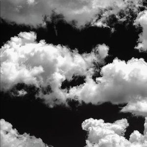 Meet your Posher, Rylee